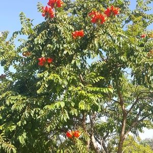 Meet your Posher, Mitzy